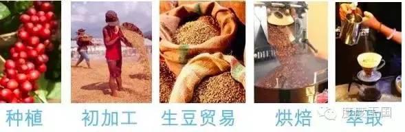 纠正一些你的咖啡观丨什么才是好咖啡 ?