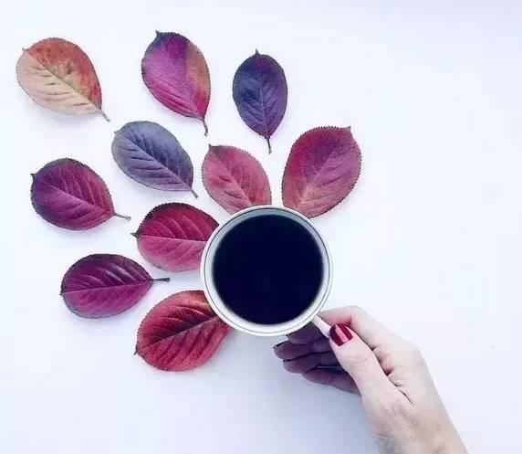 真相:“好咖啡”并不会让你彻夜难眠