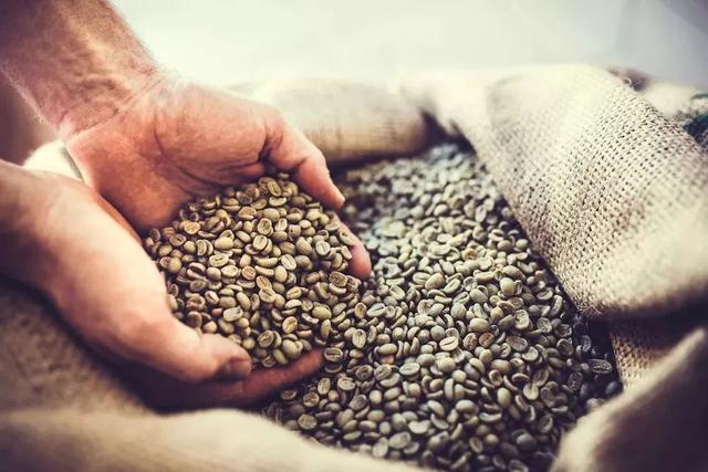 如何轻松喝到一杯好咖啡