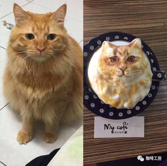 功力深厚的“仿真3D立体咖啡拉花”一路红到外国!你见识过了吗?