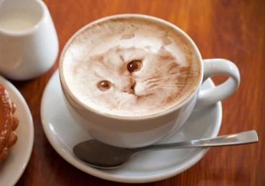 这次教你点厉害的！专业咖啡师也未必会，周末带你学意式咖啡拉花