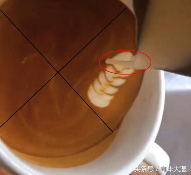 图文｜咖啡拉花教程七叶麦穗的技巧