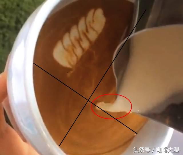 图文｜咖啡拉花教程七叶麦穗的技巧