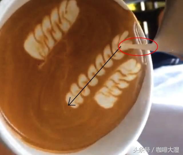 图文｜咖啡拉花教程七叶麦穗的技巧