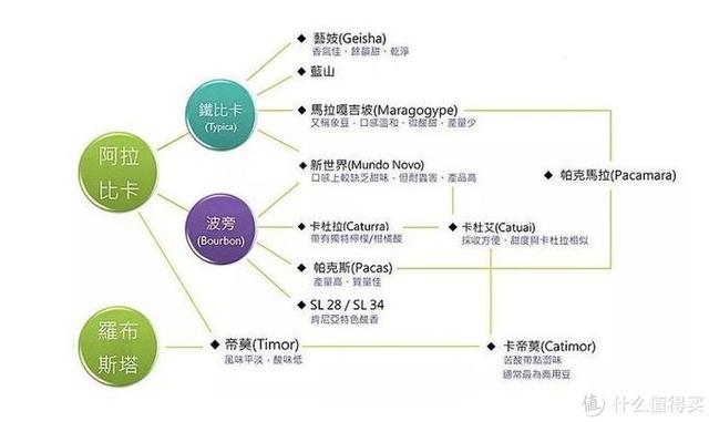 从速溶到手冲,由调配到纯粹,咖啡小白进阶之路