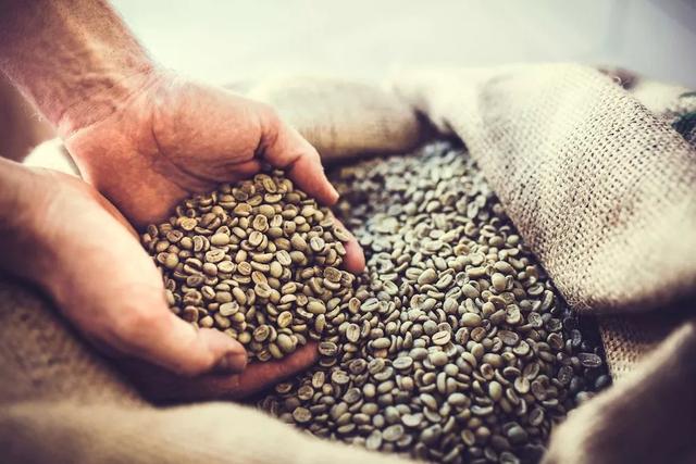 咖啡消费最大的误区:现磨咖啡就是新鲜咖啡?