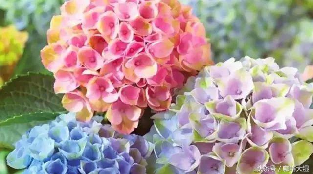 手冲咖啡教程与制作流程方法