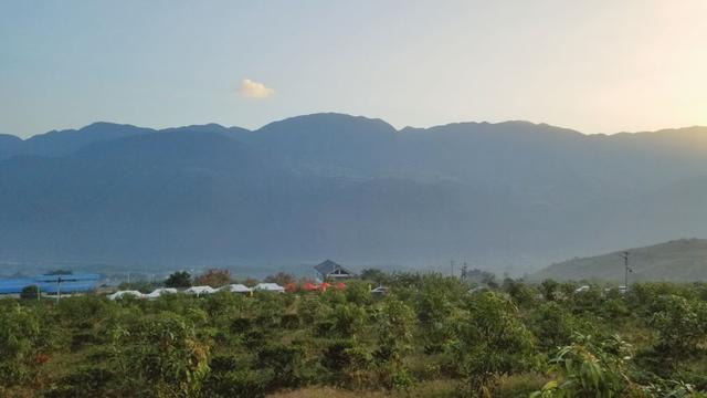 云南保山小粒咖啡,世界上最好喝的咖啡之一