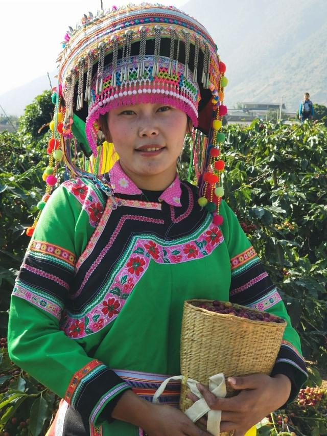 云南保山小粒咖啡,世界上最好喝的咖啡之一