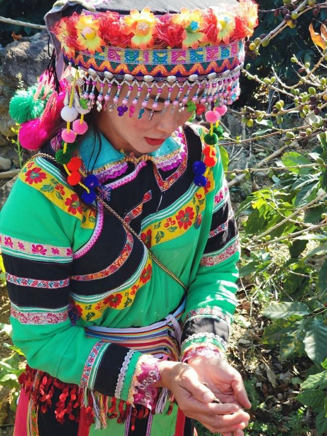 云南保山小粒咖啡,世界上最好喝的咖啡之一