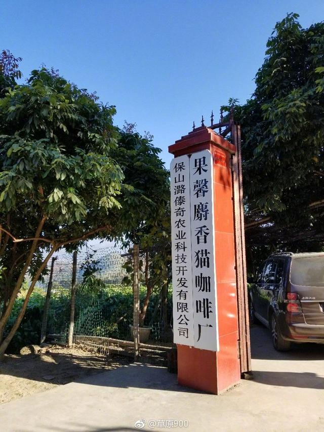 云南保山小粒咖啡,世界上最好喝的咖啡之一