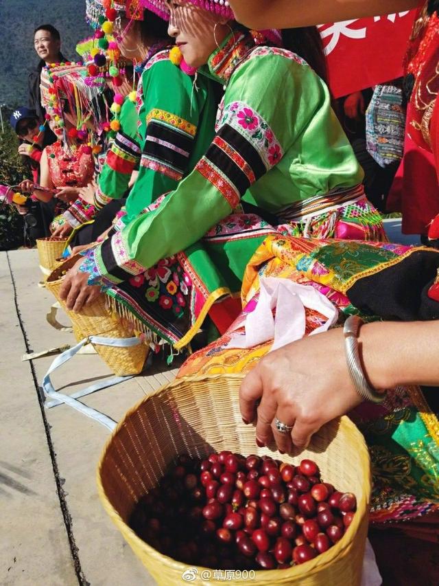 云南保山小粒咖啡,世界上最好喝的咖啡之一