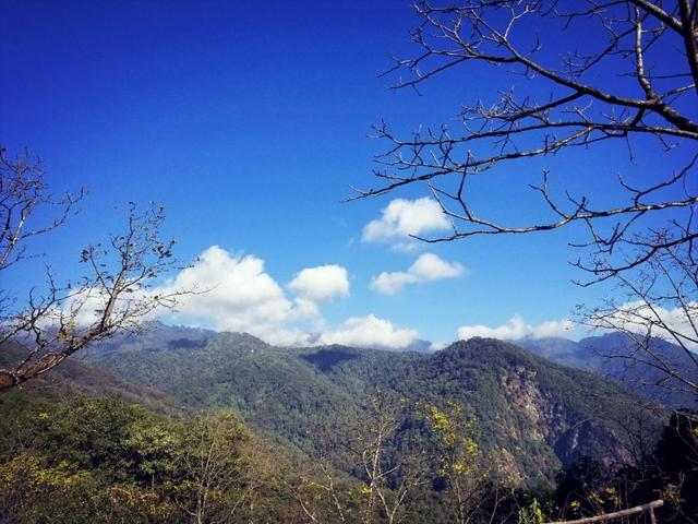 云南保山小粒咖啡,世界上最好喝的咖啡之一