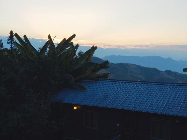 云南保山小粒咖啡,世界上最好喝的咖啡之一