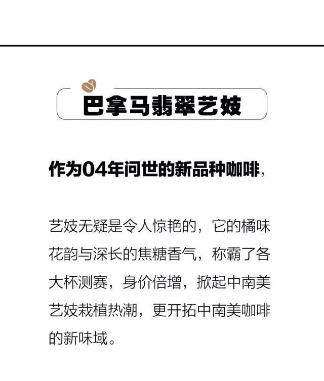 世界最好咖啡豆TOP10 榜单