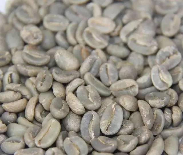 世界最好咖啡豆TOP10 榜单