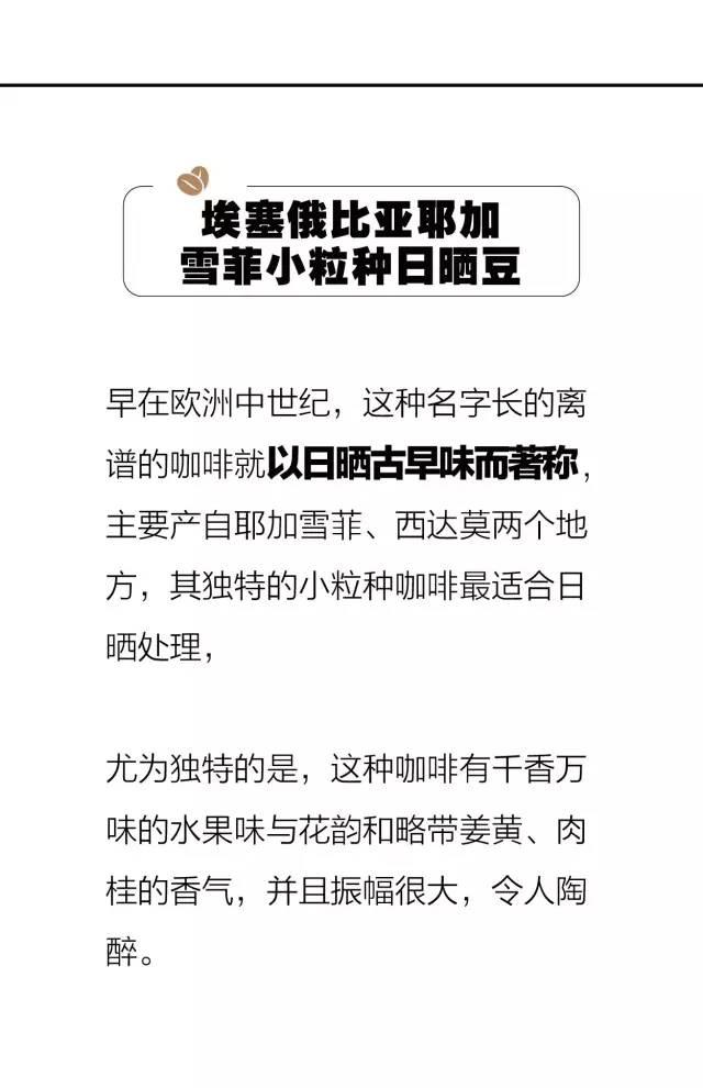 世界最好咖啡豆TOP10 榜单