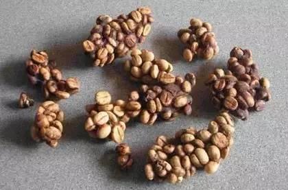 世界最好咖啡豆TOP10 榜单