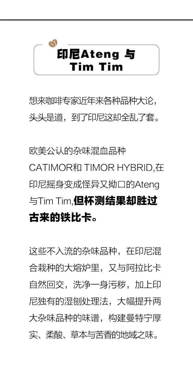 世界最好咖啡豆TOP10 榜单