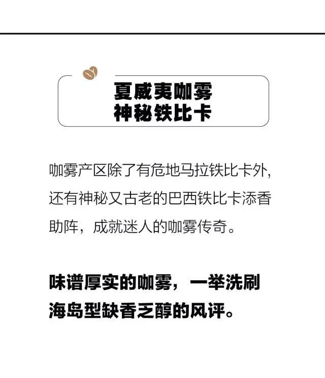 世界最好咖啡豆TOP10 榜单