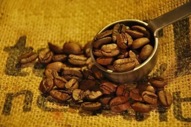 世界最好咖啡豆TOP10 榜单