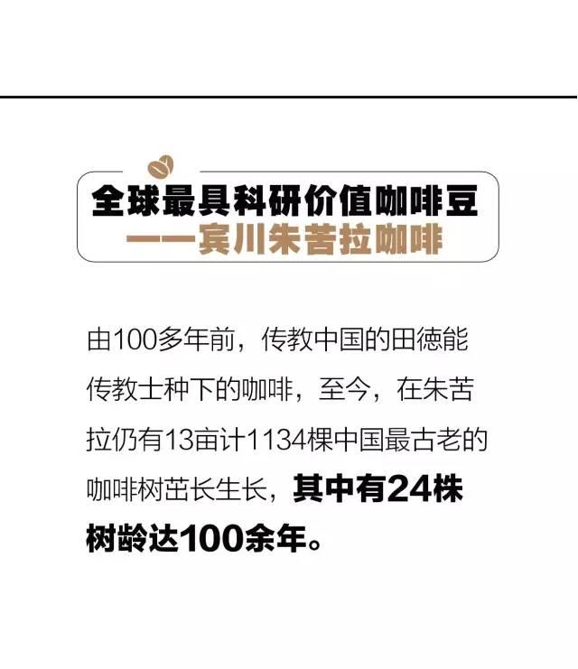 世界最好咖啡豆TOP10 榜单