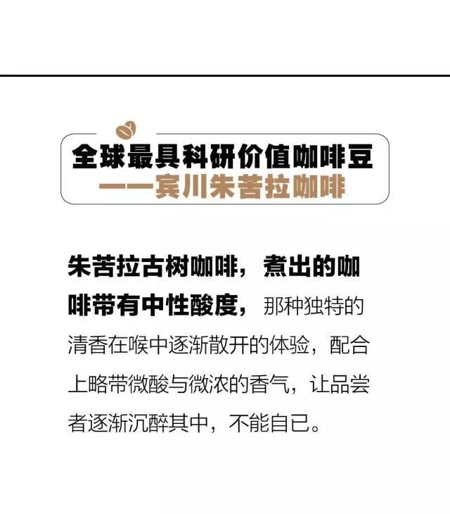 世界最好咖啡豆TOP10 榜单