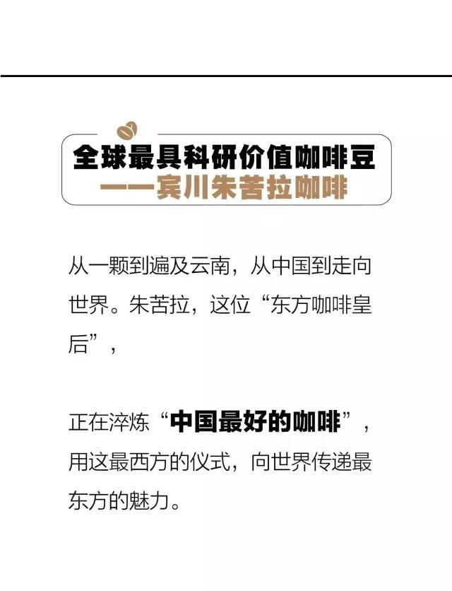 世界最好咖啡豆TOP10 榜单