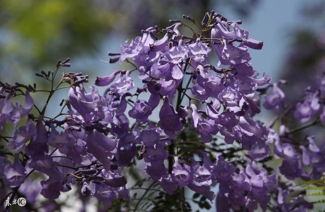 喝咖啡竟有利于睡眠？7种你不知道的助眠方法！