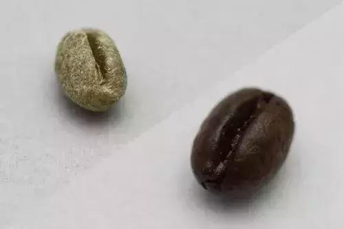 这些事实告诉你说国产圆豆不如印尼公豆只是偏见