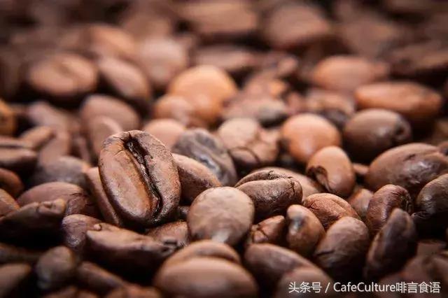5点决定咖啡品质的基础因素