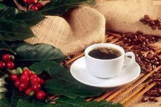 这些地方出产的咖啡才好喝 这最值得喝的九大咖啡你品过么?