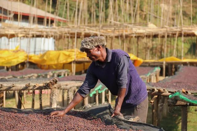 品质咖啡？多的是你不知道的事