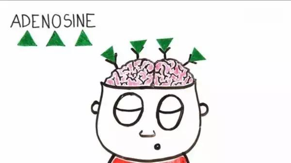 咖啡竟然有利于睡眠？