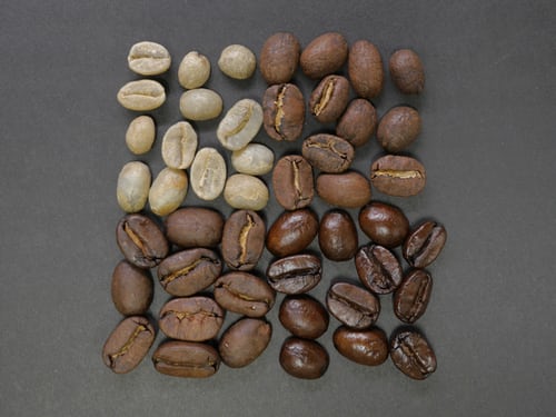 关于选购咖啡的三要素，听听这颗咖啡豆的内心独白